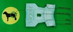 pampers pants premium care 4 promocja