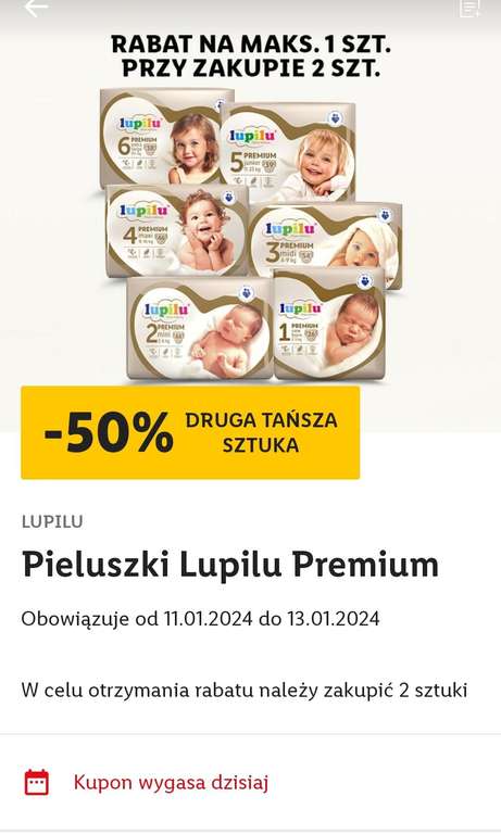 pampers active baby-dry gdzie kupić