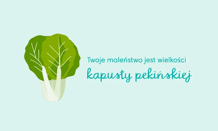 które chusteczki pampers dla noworodka