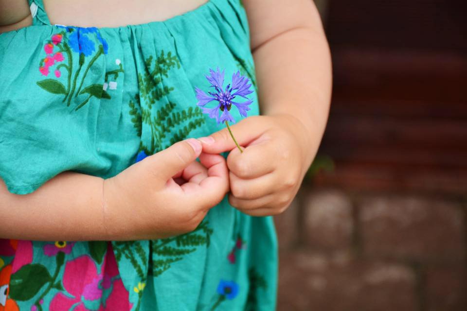 pampers dla szczeniaków