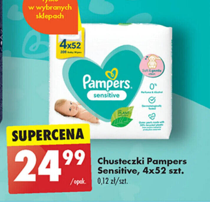 casting pampers 2019