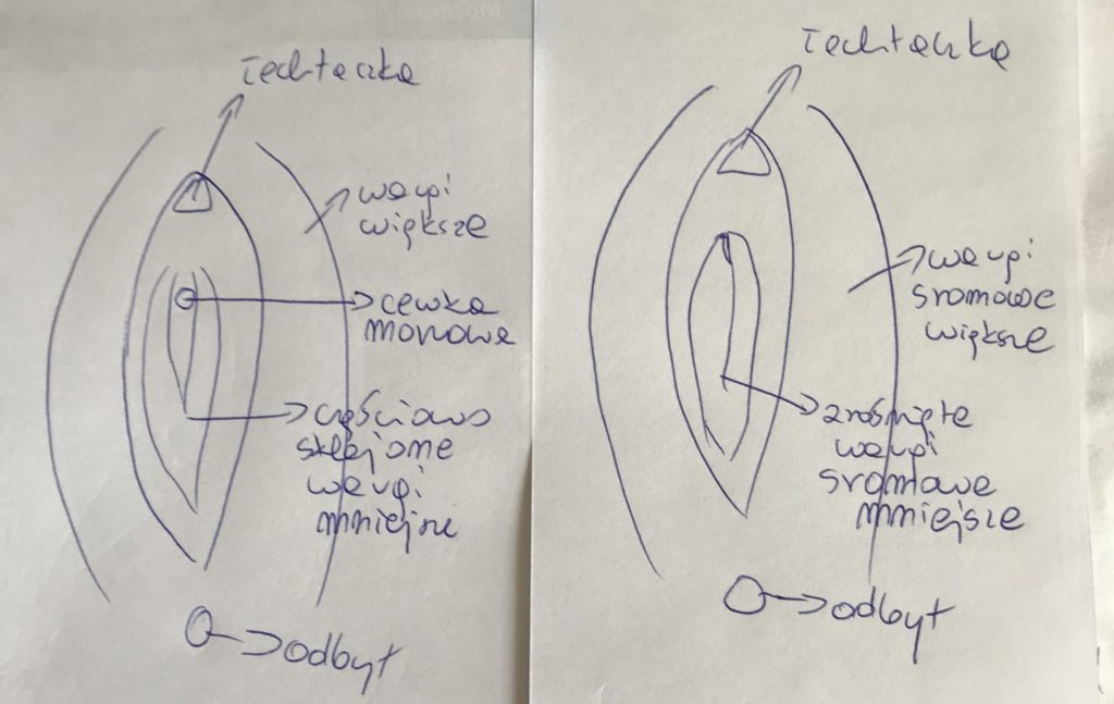 pieluszki jednorazowe ile schodzi