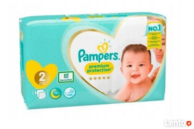 pampers dry 6