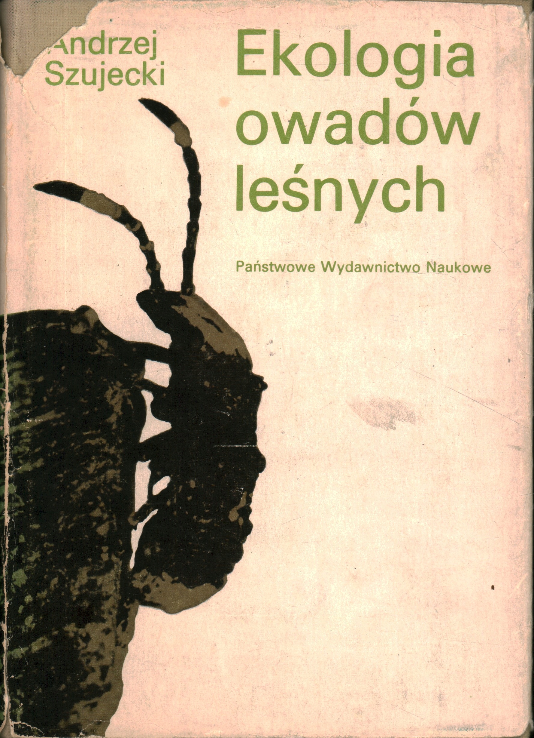 czy można odliczyć od podatku wydatki na pieluchomajtki