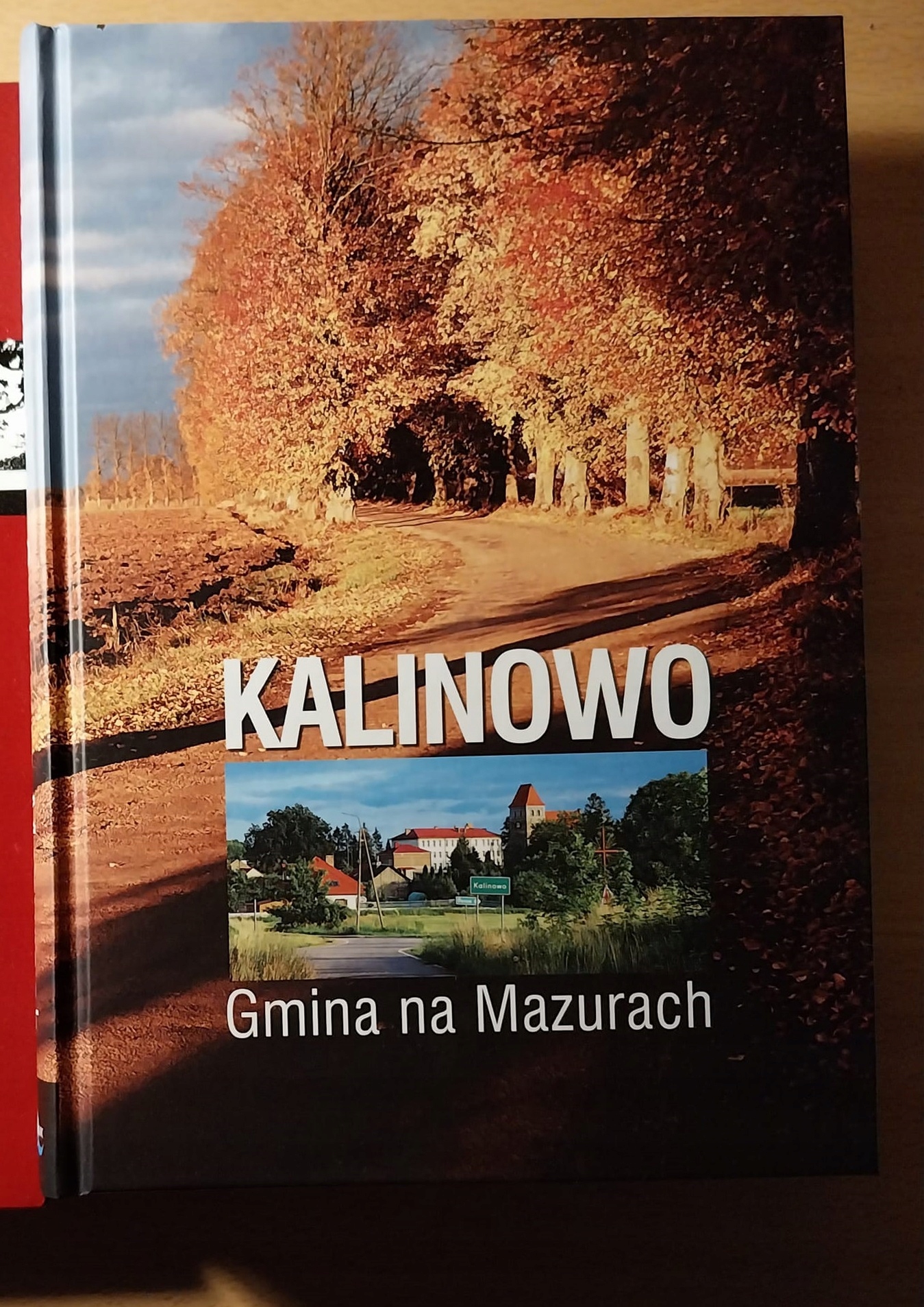 Danpol Materac do łóżeczka gryczano-kokosowy 120x60cm