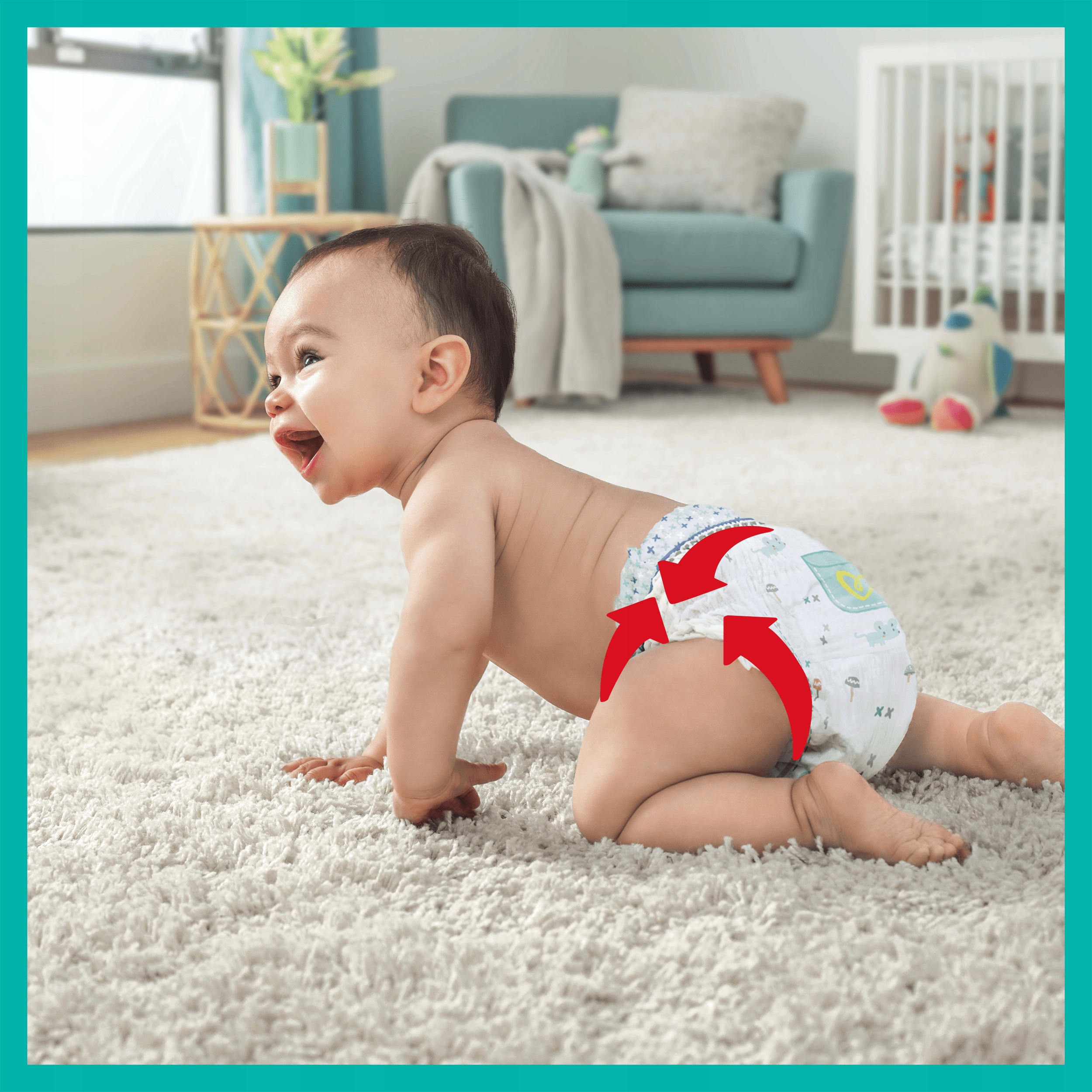 pampers premium care 5 cena