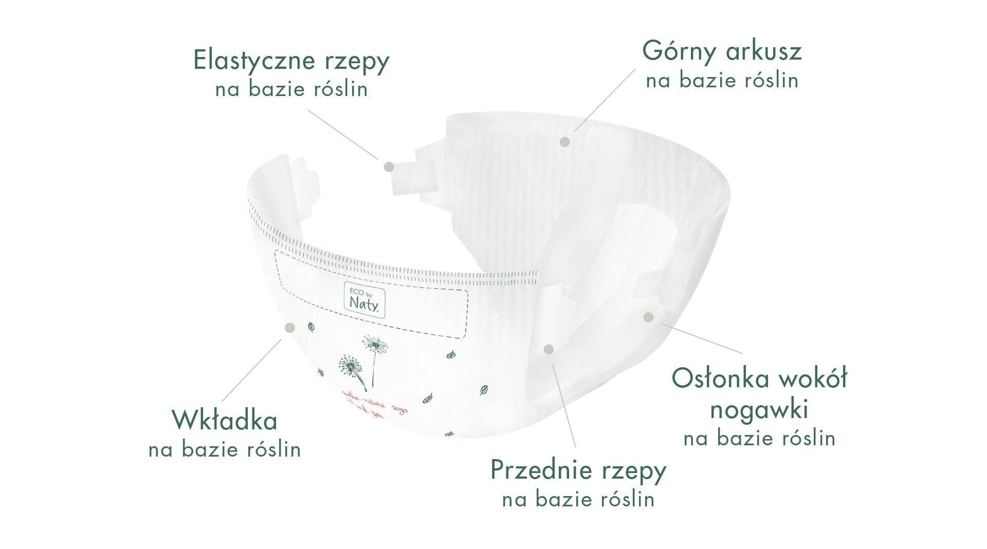 bella pieluchomajtki dla dorosłych cena